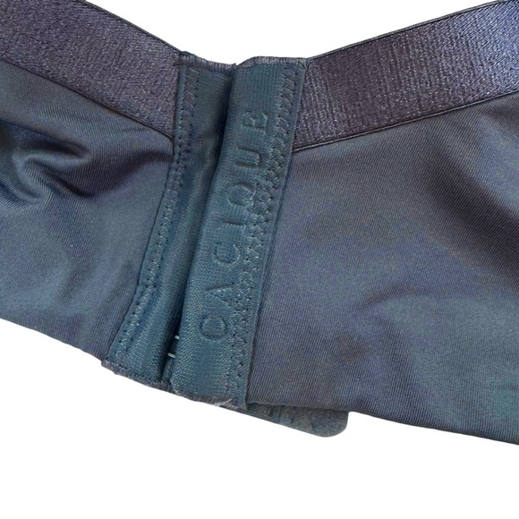 NWT Cacique Lightly Lined Underwire Full Coverage Bra Blue Lace Size 46D - Picture 7 of 14